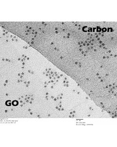 TEM Grids, Graphene Oxide on Holey Carbon, 300 Mesh, square, Cu