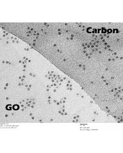 Ferritin-Komplexe auf GO Monolage als Anwendungsbespiel. Ferritin in wässriger Lösung wurde mit einem Tropfen auf ein GO-Grid gegeben und angetrocknet (mit freundlicher Genehmigung von Dr. J. Skepper, University of Cambridge).