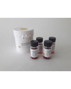 Gold Nanoparticles, Carboxyl-functionalized, 4x 5ml, various Particle sizes