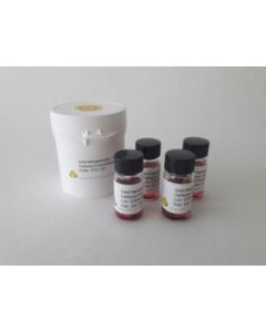 Gold Nanoparticles (Gold Sols), Carboxyl-functionalized, 4x 5ml, various Particle sizes