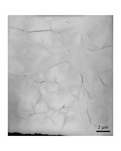 TEM Grids, Graphene coated, 1000 or 2000 Mesh, square, Cu
