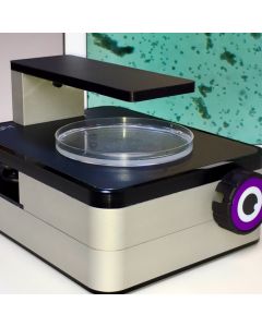 iolight - Portable Digital Inverted Microscope, 400x, 1mm field of view, 1µm high resolution
