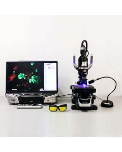 Fluoreszente Mineralprobe aufgenommen mit einem Keyence VHX mit NIGHTSEA Fluoreszenz-Adapter.