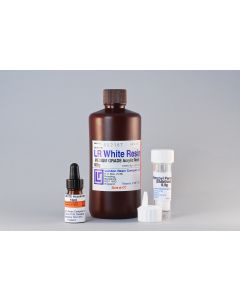 LR White Embedding Kit