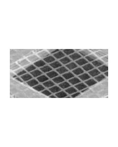 TEM Grids, Quantifoil, Hole Shape S7/2, 200 Mesh, Cu