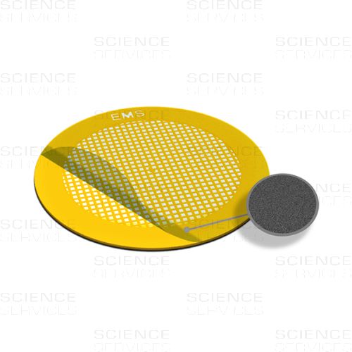 TEM Grids, Carbon Film coated, 400 Mesh, thin Bars, square, Au