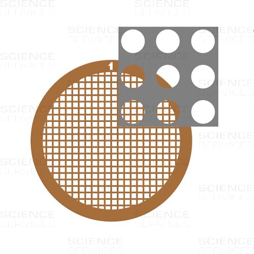 C-flat™ thick, 200 Mesh, 2,0µm Hole Size, 1,0µm Hole Spacing, Cu