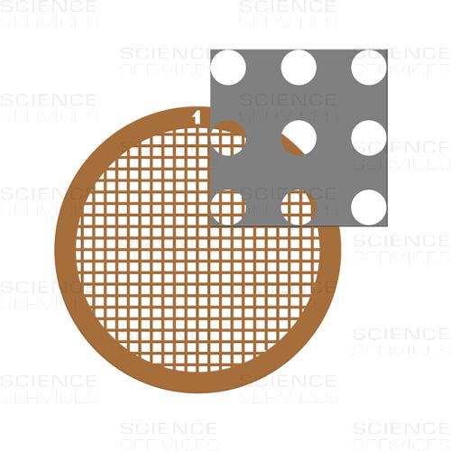 C-flat™, 200 Mesh, 2,0µm Hole Size, 2,0µm Hole Spacing, Cu