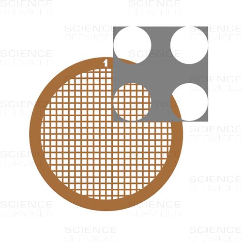 C-flat™, 200 Mesh, 4,0µm Hole Size, 2,0µm Hole Spacing, Cu