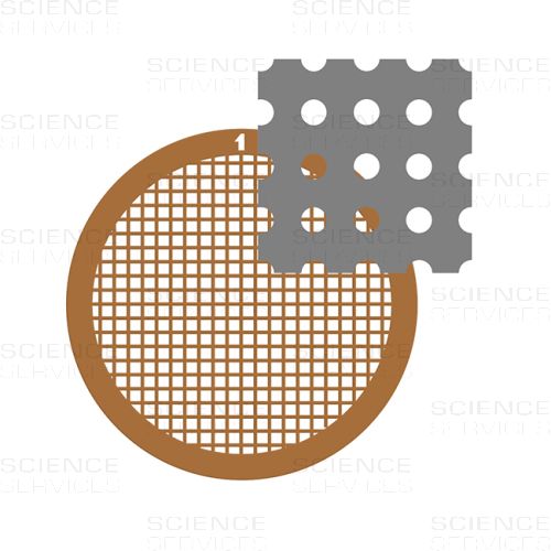 C-flat™ thick, 200 Mesh, 1,2µm Hole Size, 1,3µm Hole Spacing, Cu