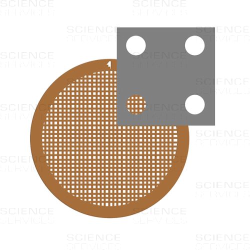 C-flat™ thick, 300 Mesh, 2,0µm Hole Size, 4,0µm Hole Spacing, Cu