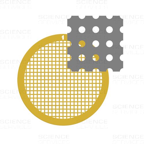 C-flat™, 200 Mesh, 1,2µm Hole Size, 1,3µm Hole Spacing, Au