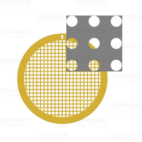 C-flat™, 200 Mesh, 2,0µm Hole Size, 2,0µm Hole Spacing, Au