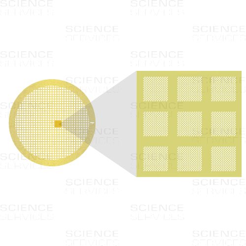 Au-flat, 1.2 µm Hole Size, 1.3 µm Hole Spacing, 300 Mesh, Au/Pd