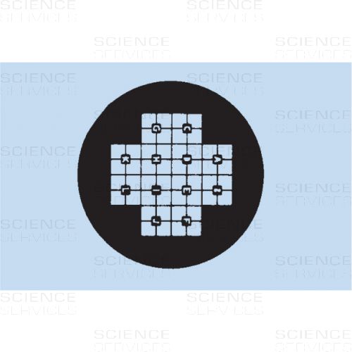 TEM Grids, Finder, 100 Mesh