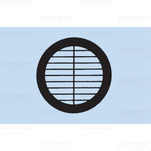 TEM Grids, 254 Lines, Parallelstege mit Unterteilungen