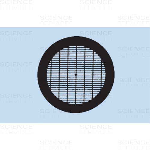 TEM Grids, 75/300 Mesh, Parallelstege mit Unterteilungen