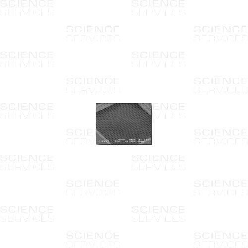 C-flat™ thick, 1,0µm Hole Size, 1,0µm Hole Spacing, Cu (Grids_mit_Trägerfilm)