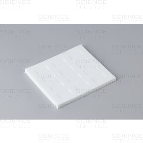 Chang Mold, cavities 20x10x1mm, each