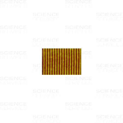 AFM, SEM Calibration Specimens 150-1D, unmounted