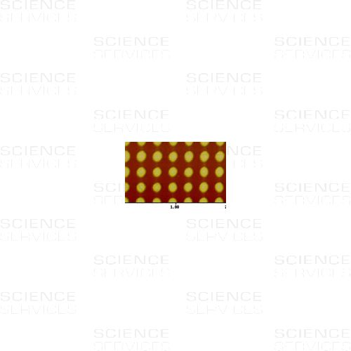 AFM Calibration Specimens 300-2D, unmounted