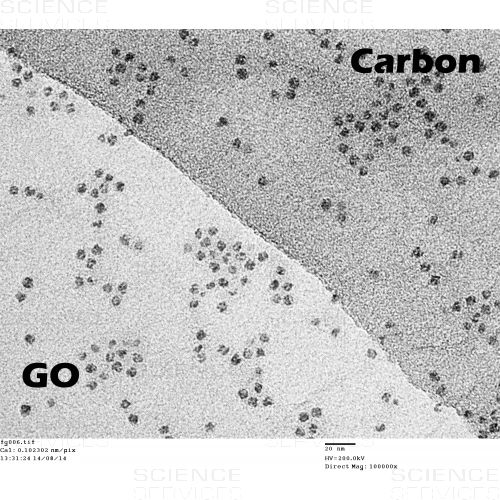 Ferritin-Komplexe auf GO Monolage als Anwendungsbespiel. Ferritin in wässriger Lösung wurde mit einem Tropfen auf ein GO-Grid gegeben und angetrocknet (mit freundlicher Genehmigung von Dr. J. Skepper, University of Cambridge).