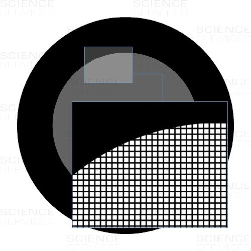 TEM Grids, 1000 Mesh, thin bars, square, Au, 25 pieces