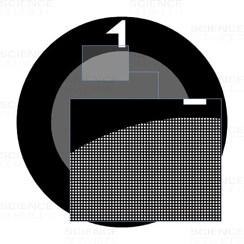 TEM Grids, 2000 Mesh, thin bars, square, Au, 10 pieces