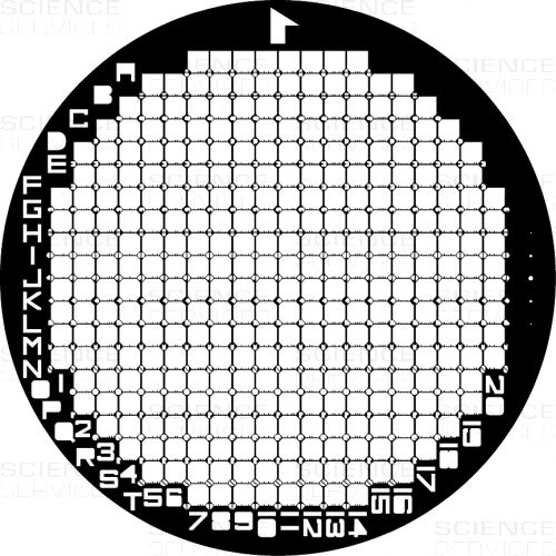 TEM Grids, Finder, 200 Mesh, square, Au, 25 pieces