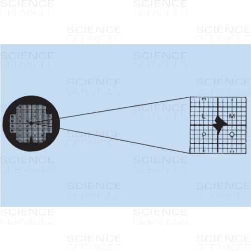 TEM Grids, 400 Mesh, H7 Referenz Muster