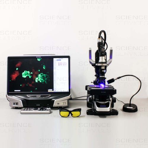 Fluoreszente Mineralprobe aufgenommen mit einem Keyence VHX mit NIGHTSEA Fluoreszenz-Adapter.