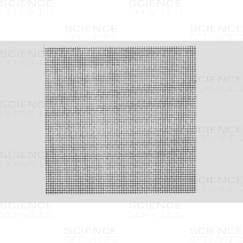 NE34 - Squared Grids, different diamters