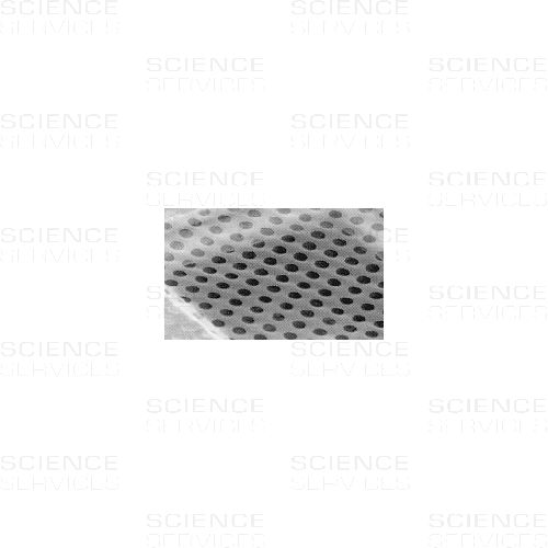 TEM Grids, Quantifoil, Hole Shape R2/2, 200 Mesh, Au
