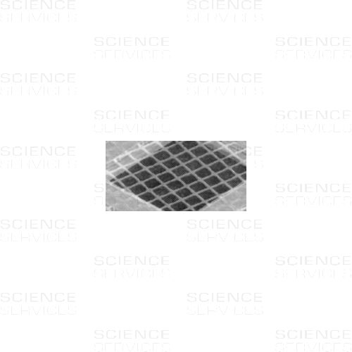 TEM Grids, Quantifoil, Hole Shape S7/2, 200 Mesh, Cu