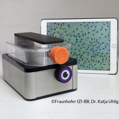 iolight - Portable Digital Inverted Microscope, 400x, 1mm field of view, 1µm high resolution