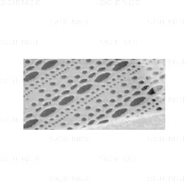 TEM Grids, Quantifoil, Hole Shape Multi A, Ni