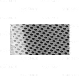 TEM Grids, Quantifoil, Hole Shape R2/1, Hole Size 2µm, Period 3µm, Au